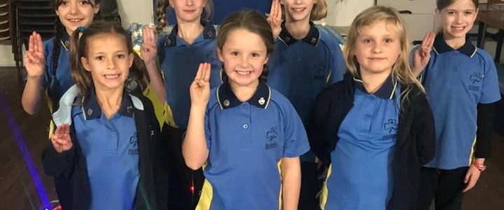 Mosman Brownies/ youth adventure mosman/kids fun